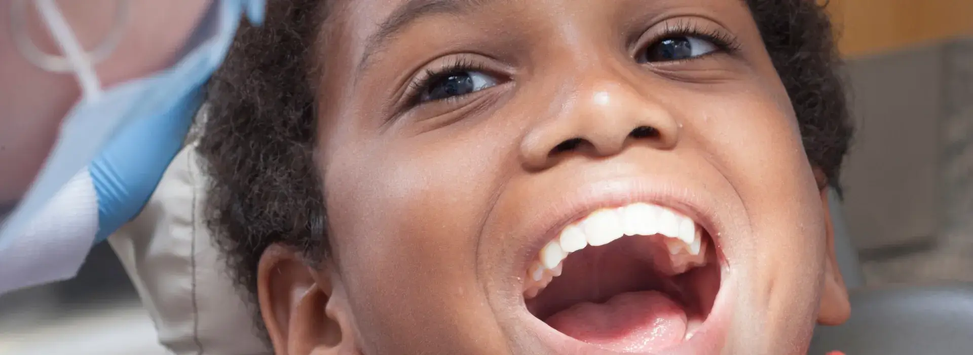 Dental Checkups and Cleanings
